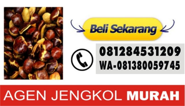 supplier-jengkol-indonesia